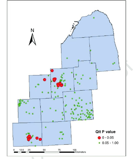 Gis Point Example The 2 Different Types of GIS Data: Vector and Raster | BioMedware