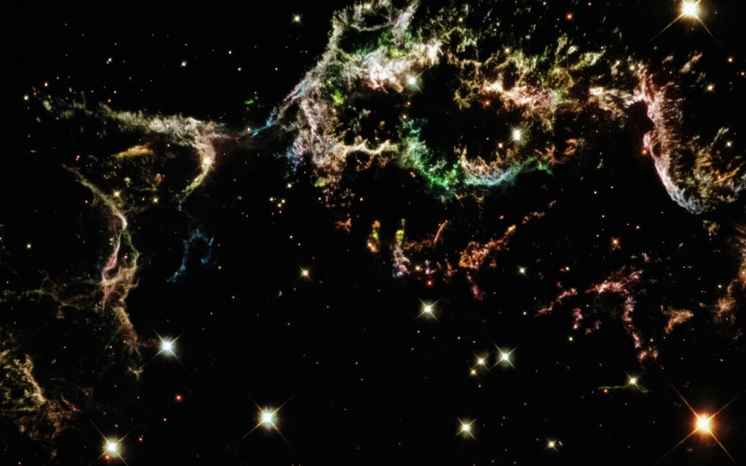 BioMedware Awarded Grant Renewal From The National Library of Medicine